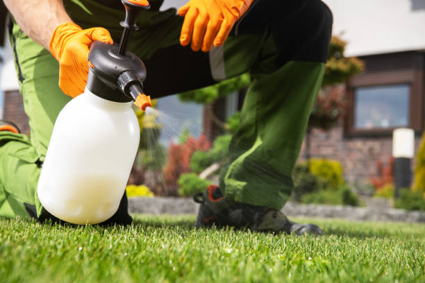 Best Bed Bug Extermination  in Riverview, DE