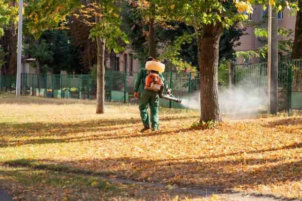 Best Mosquito Control Services  in Riverview, DE