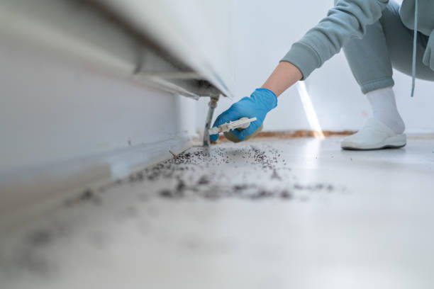 Best Commercial Pest Control Services  in Riverview, DE