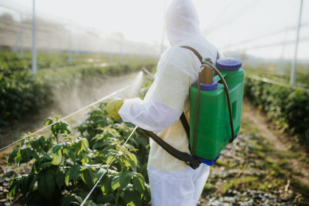 Flea Control Services in Riverview, DE